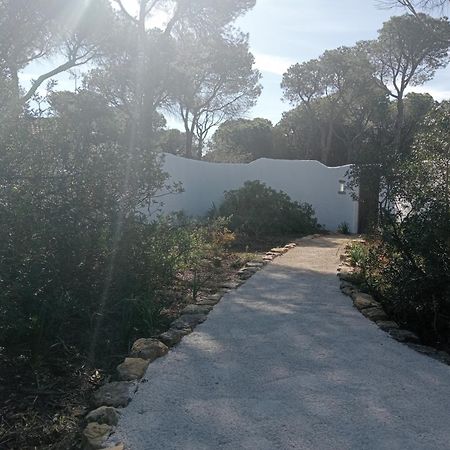 Casa Palmito 2 Villa Chiclana de la Frontera Luaran gambar
