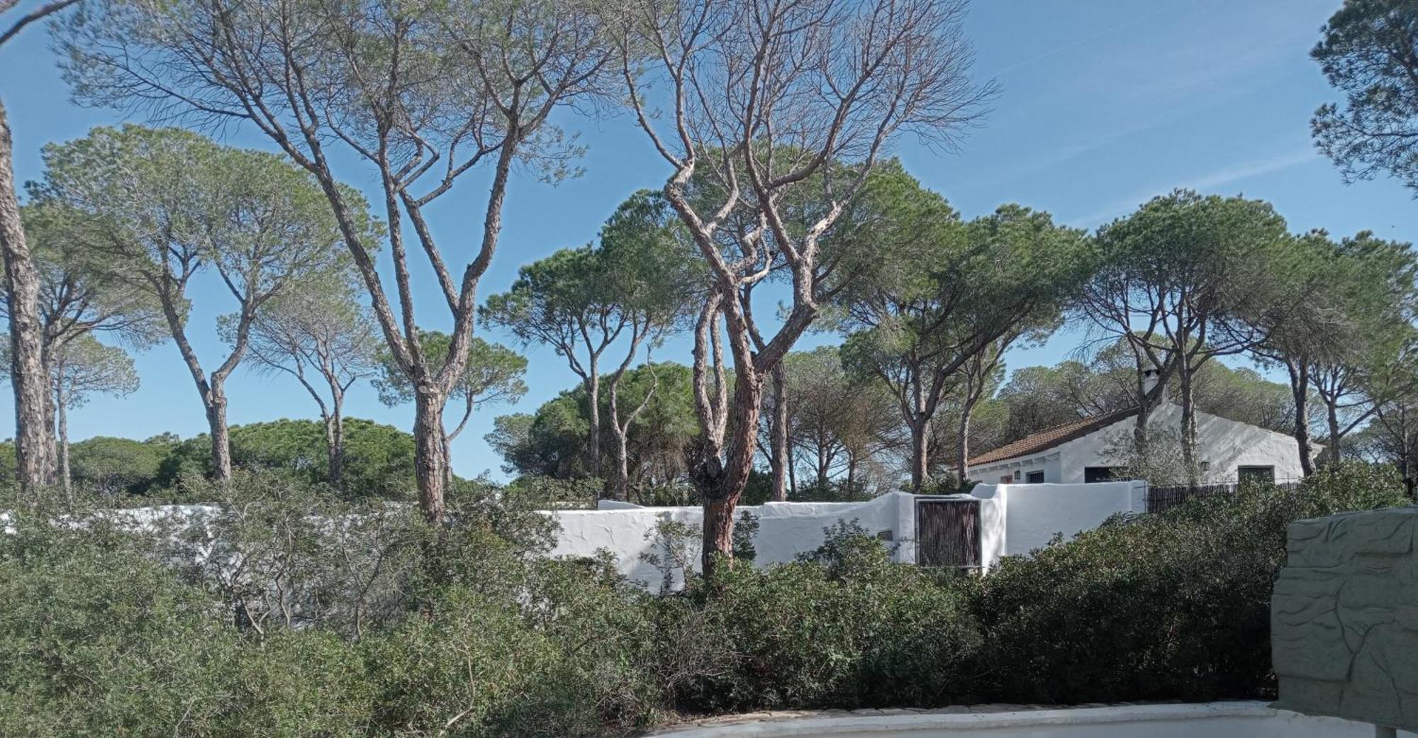 Casa Palmito 2 Villa Chiclana de la Frontera Luaran gambar